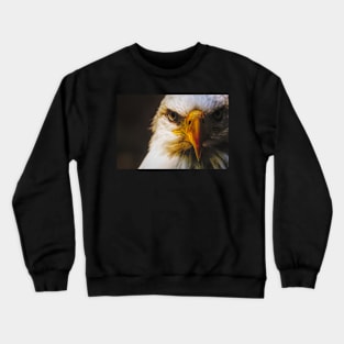 Bald Eagle Crewneck Sweatshirt